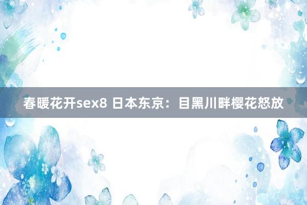 春暖花开sex8 日本东京：目黑川畔樱花怒放