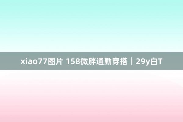 xiao77图片 158微胖通勤穿搭｜29y白T