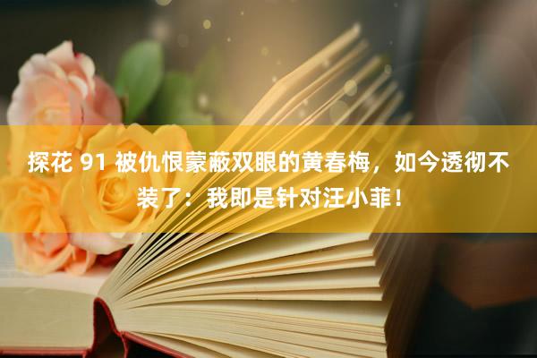 探花 91 被仇恨蒙蔽双眼的黄春梅，如今透彻不装了：我即是针对汪小菲！