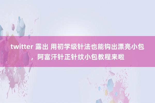 twitter 露出 用初学级针法也能钩出漂亮小包，阿富汗针正针纹小包教程来啦