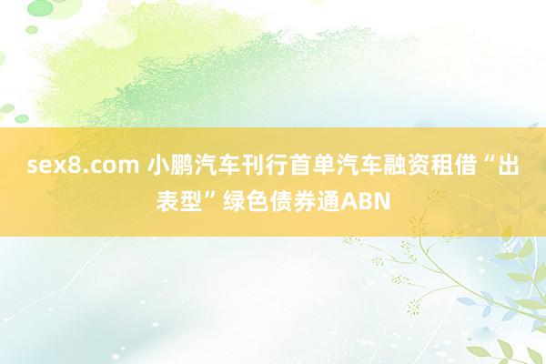 sex8.com 小鹏汽车刊行首单汽车融资租借“出表型”绿色债券通ABN