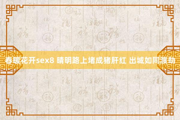 春暖花开sex8 晴明路上堵成猪肝红 出城如同渡劫