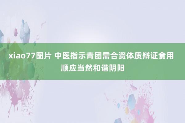 xiao77图片 中医指示青团需合资体质辩证食用 顺应当然和谐阴阳