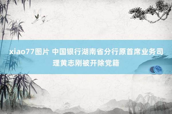 xiao77图片 中国银行湖南省分行原首席业务司理黄志刚被开除党籍