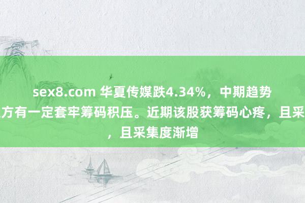 sex8.com 华夏传媒跌4.34%，中期趋势方面，上方有一定套牢筹码积压。近期该股获筹码心疼，且采集度渐增