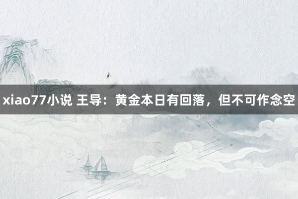 xiao77小说 王导：黄金本日有回落，但不可作念空