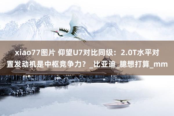 xiao77图片 仰望U7对比同级：2.0T水平对置发动机是中枢竞争力？_比亚迪_臆想打算_mm