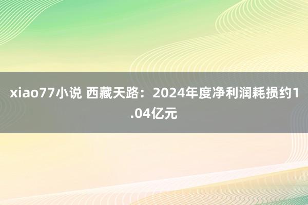 xiao77小说 西藏天路：2024年度净利润耗损约1.04亿元
