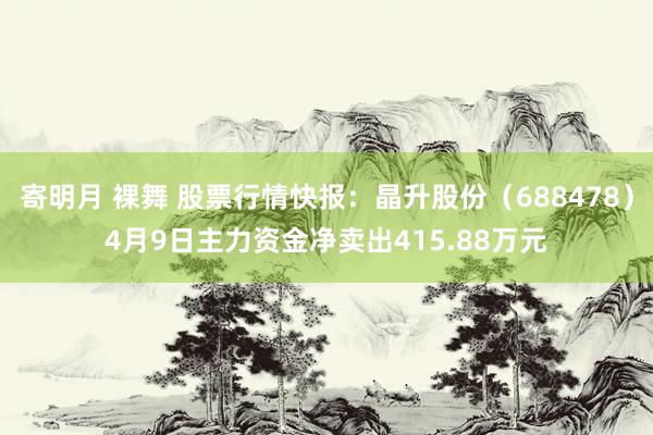 寄明月 裸舞 股票行情快报：晶升股份（688478）4月9日主力资金净卖出415.88万元