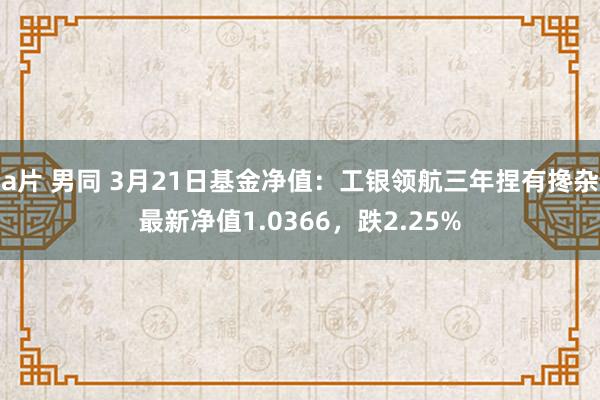 a片 男同 3月21日基金净值：工银领航三年捏有搀杂最新净值1.0366，跌2.25%
