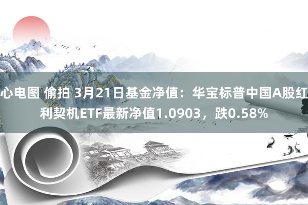 心电图 偷拍 3月21日基金净值：华宝标普中国A股红利契机ETF最新净值1.0903，跌0.58%