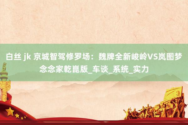 白丝 jk 京城智驾修罗场：魏牌全新峻岭VS岚图梦念念家乾崑版_车谈_系统_实力