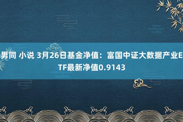 男同 小说 3月26日基金净值：富国中证大数据产业ETF最新净值0.9143