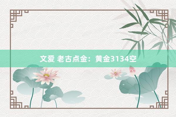 文爱 老古点金：黄金3134空