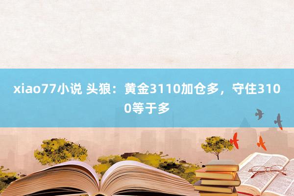xiao77小说 头狼：黄金3110加仓多，守住3100等于多