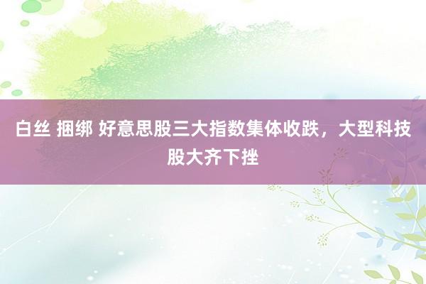 白丝 捆绑 好意思股三大指数集体收跌，大型科技股大齐下挫