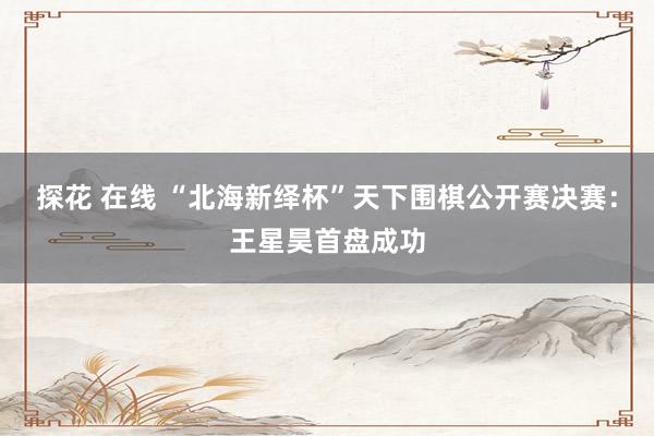 探花 在线 “北海新绎杯”天下围棋公开赛决赛：王星昊首盘成功