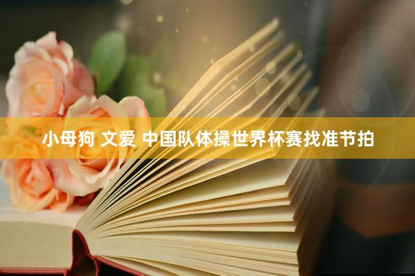 小母狗 文爱 中国队体操世界杯赛找准节拍