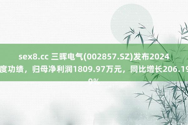 sex8.cc 三晖电气(002857.SZ)发布2024年度功绩，归母净利润1809.97万元，同比增长206.19%