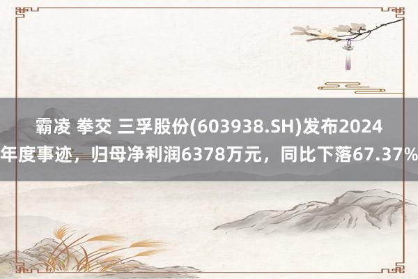 霸凌 拳交 三孚股份(603938.SH)发布2024年度事迹，归母净利润6378万元，同比下落67.37%