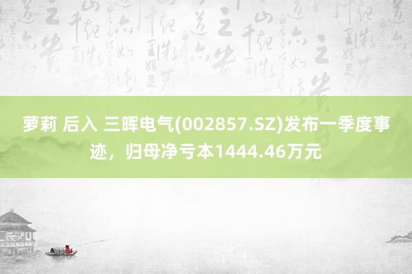 萝莉 后入 三晖电气(002857.SZ)发布一季度事迹，归母净亏本1444.46万元