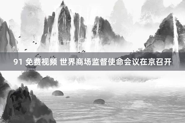 91 免费视频 世界商场监督使命会议在京召开