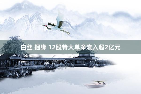 白丝 捆绑 12股特大单净流入超2亿元