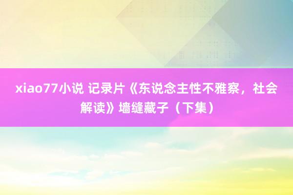 xiao77小说 记录片《东说念主性不雅察，社会解读》墙缝藏子（下集）