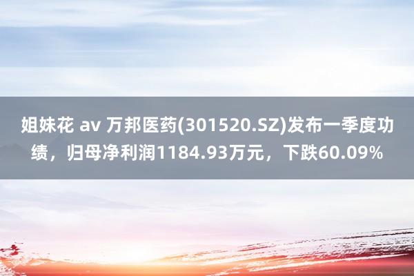 姐妹花 av 万邦医药(301520.SZ)发布一季度功绩，归母净利润1184.93万元，下跌60.09%