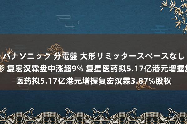 パナソニック 分電盤 大形リミッタースペースなし 露出・半埋込両用形 复宏汉霖盘中涨超9% 复星医药拟5.17亿港元增握复宏汉霖3.87%股权
