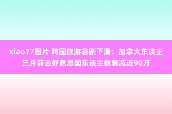 xiao77图片 跨国旅游急剧下滑：加拿大东谈主三月前去好意思国东谈主数骤减近90万