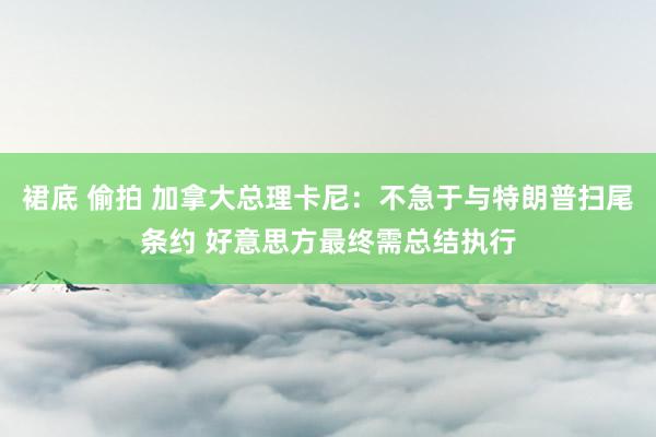 裙底 偷拍 加拿大总理卡尼：不急于与特朗普扫尾条约 好意思方最终需总结执行